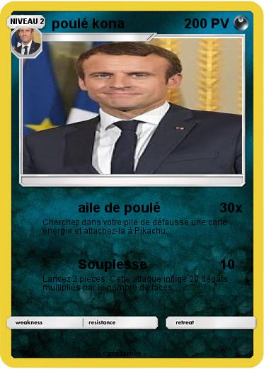 Pokemon poulé kona