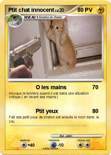 Pokemon Ptit chat innocent