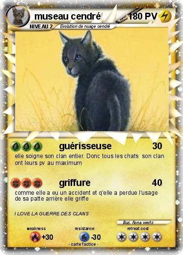 Pokemon museau cendré