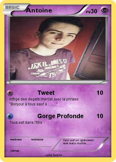 Pokemon Antoine