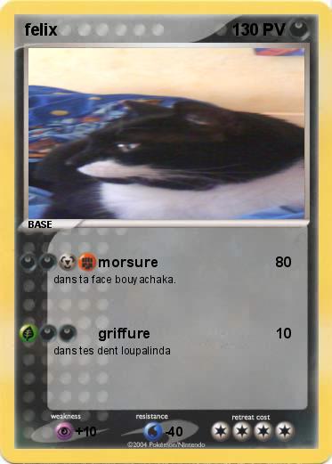 Pokemon felix