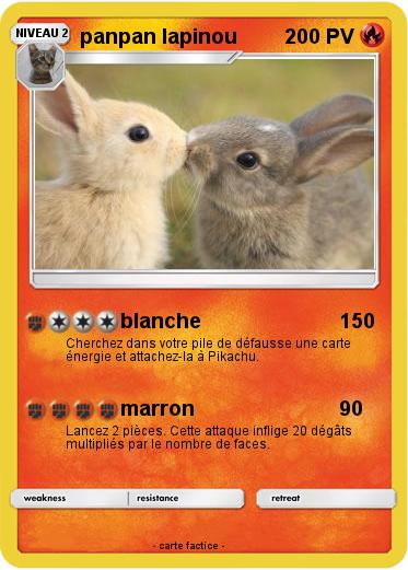 Pokemon panpan lapinou