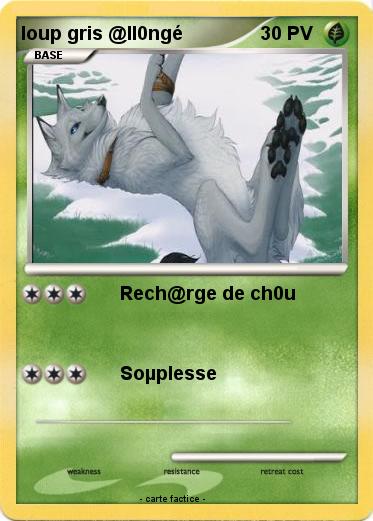 Pokemon loup gris @ll0ngé