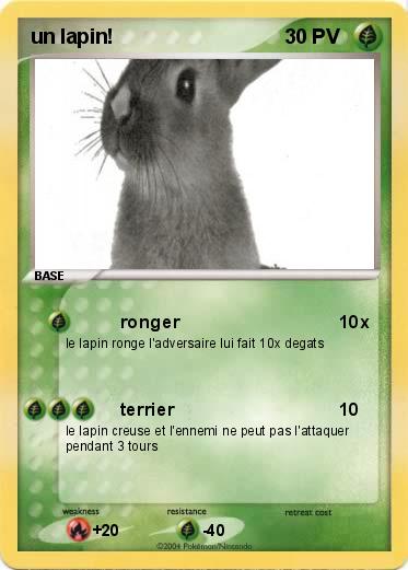 Pokemon un lapin!