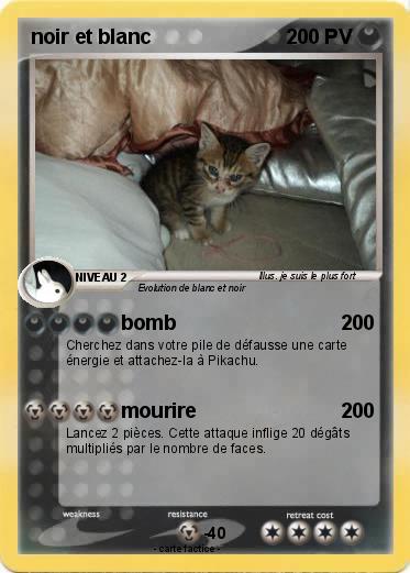 Pokemon noir et blanc