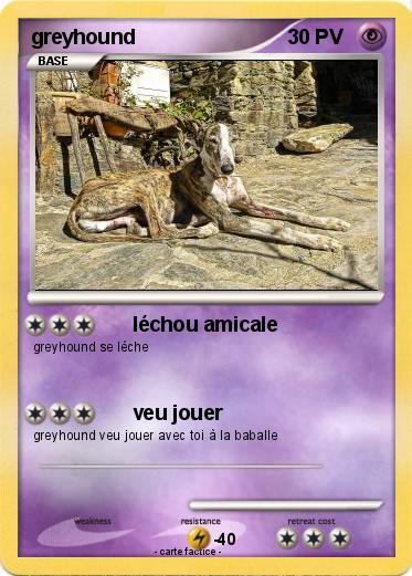 Pokemon greyhound