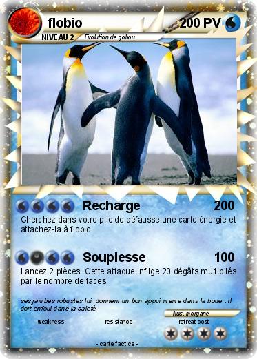 Pokemon flobio