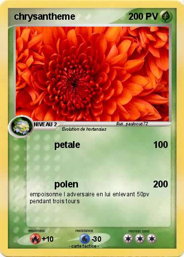 Pokemon chrysantheme