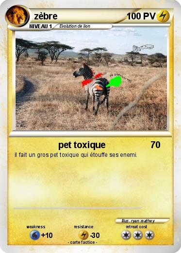 Pokemon zèbre