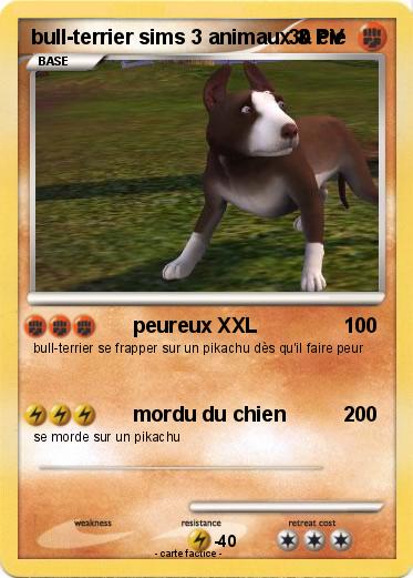Pokemon bull-terrier sims 3 animaux & cie