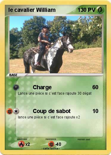 Pokemon le cavalier William