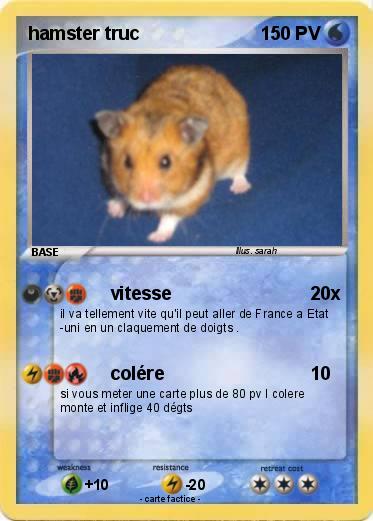 Pokemon hamster truc