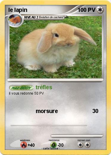Pokemon le lapin