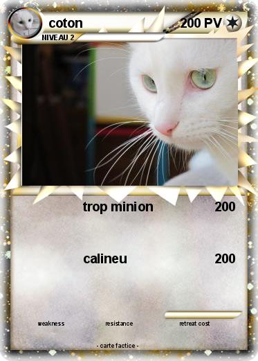 Pokemon coton
