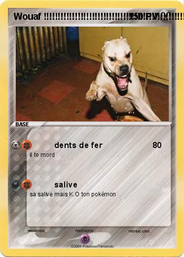 Pokemon Wouaf !!!!!!!!!!!!!!!!!!!!!!!!!!!!!!!!!!!!!!!!!!!!!!!!!!!!!!!!!!!!!!!!!!!!!!!!!!!!!!!!!!!!!!