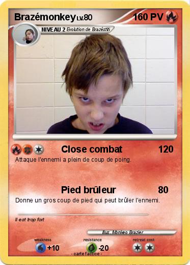 Pokemon Brazémonkey