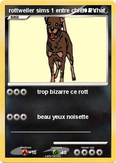 Pokemon rottweiler sims 1 entre chien & chat