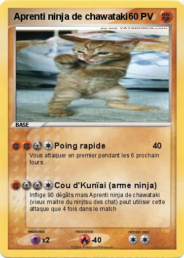 Pokemon Aprenti ninja de chawataki
