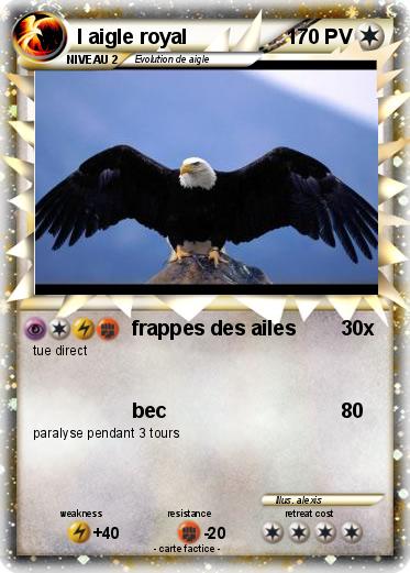 Pokemon l aigle royal