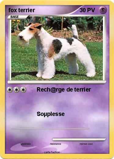 Pokemon fox terrier