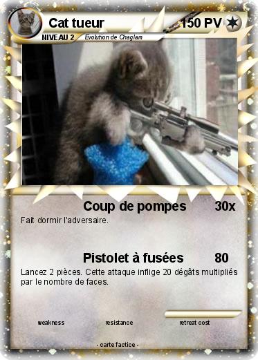 Pokemon Cat tueur