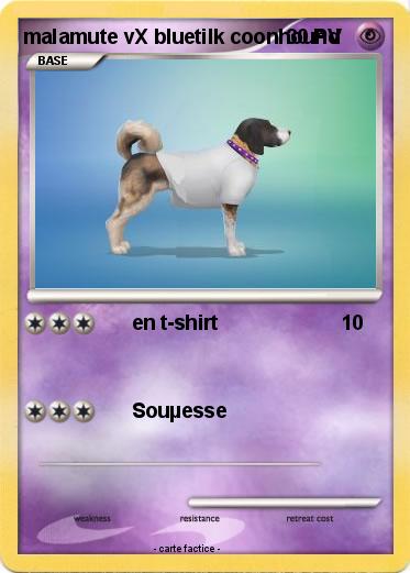 Pokemon malamute vX bluetilk coonhound