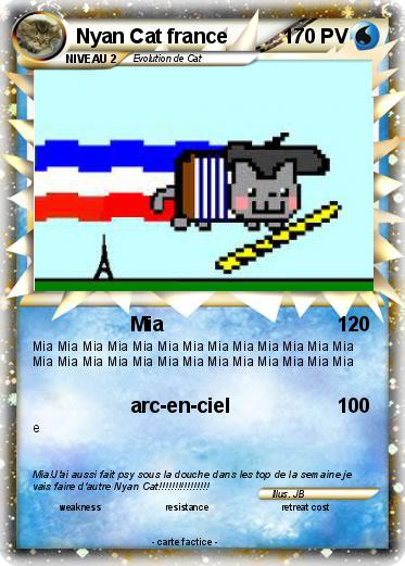 Pokemon Nyan Cat france