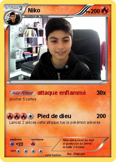 Pokemon Niko