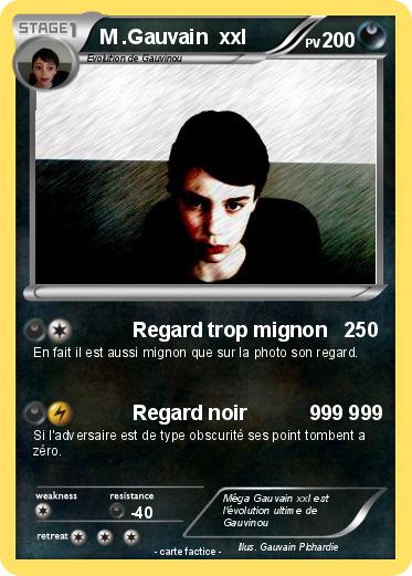 Pokemon M .Gauvain  xxl