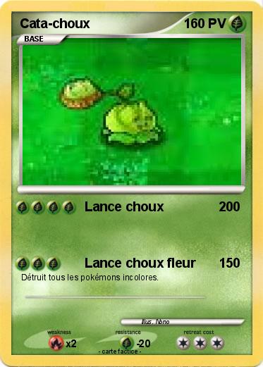 Pokemon Cata-choux