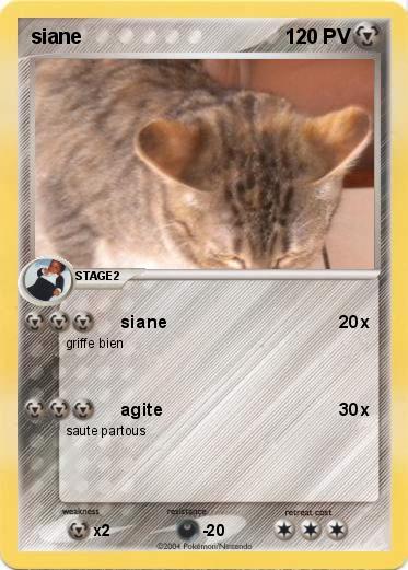 Pokemon siane