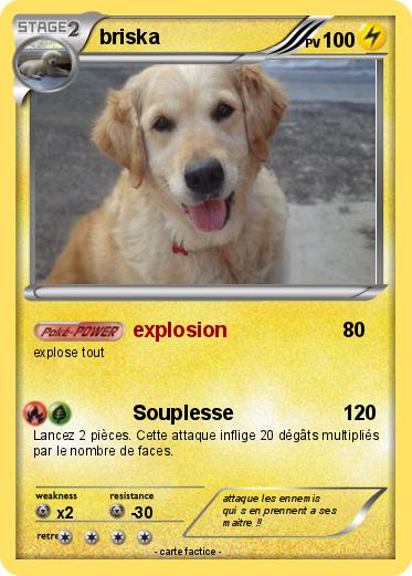 Pokemon briska