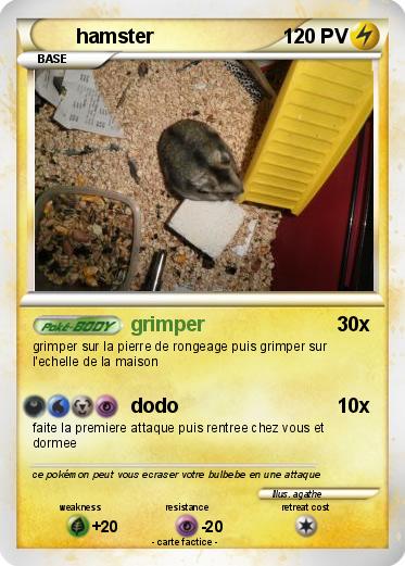 Pokemon hamster