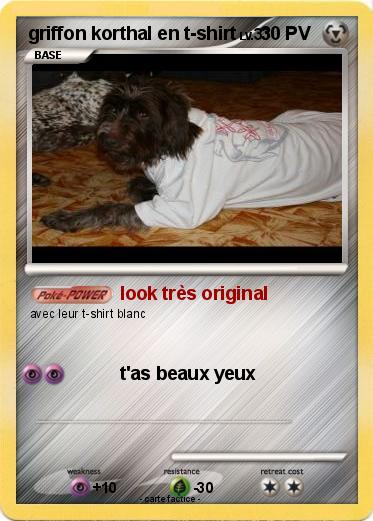 Pokemon griffon korthal en t-shirt