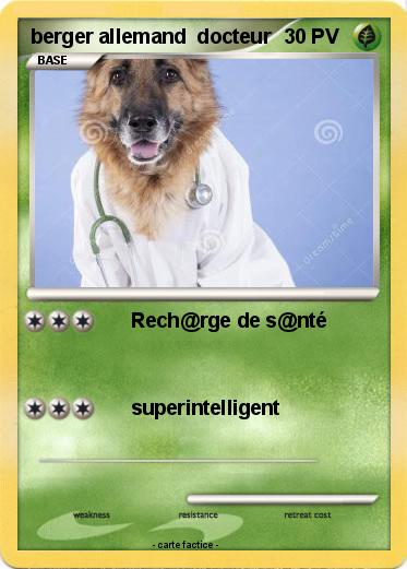 Pokemon berger allemand  docteur