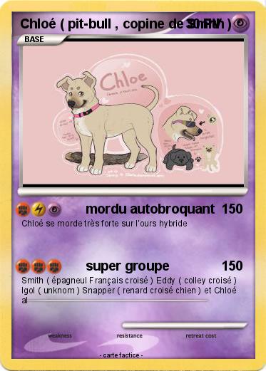 Pokemon Chloé ( pit-bull , copine de Smith )