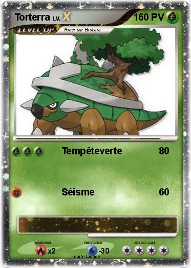 Pokemon Torterra