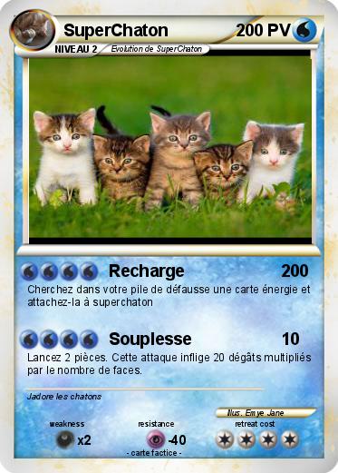 Pokemon SuperChaton