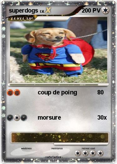 Pokemon superdogs