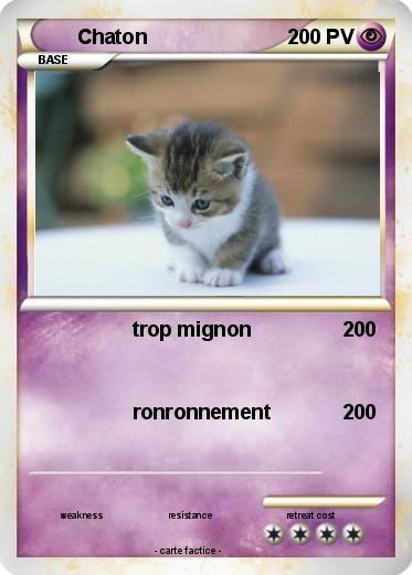 Pokemon Chaton