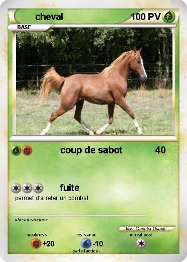 Pokemon cheval