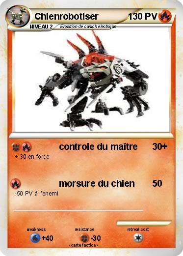 Pokemon Chienrobotiser