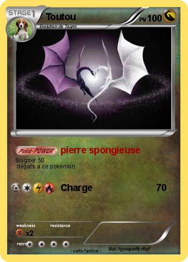 Pokemon Toutou