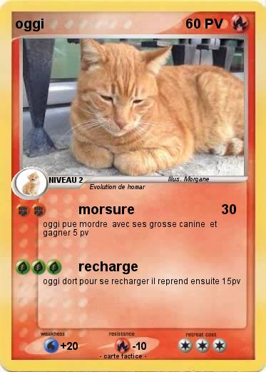 Pokemon oggi