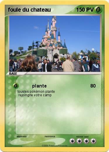Pokemon foule du chateau