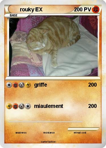 Pokemon rouky EX