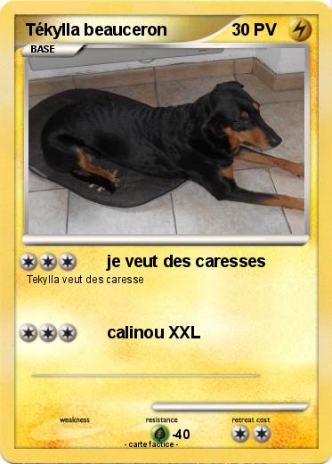 Pokemon Tékylla beauceron