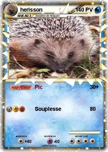 Pokemon herisson