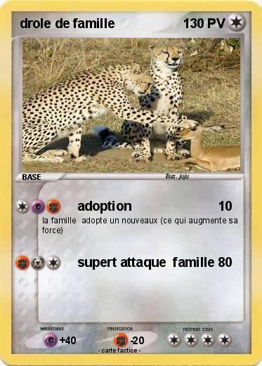 Pokemon drole de famille