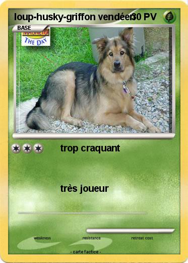 Pokemon loup-husky-griffon vendéen